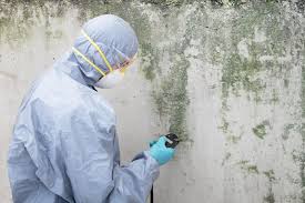 Best Mold Odor Removal Services in Ohioville, PA